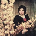 تصویر کاور هایده - محفلی