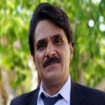 تصویر کاور سجاد رزمجو - شو بارونی