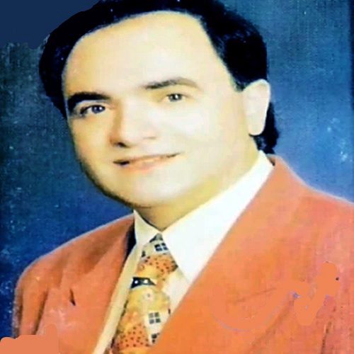 کاور عکس آهنگ حبیبی از شاهرخ سالار