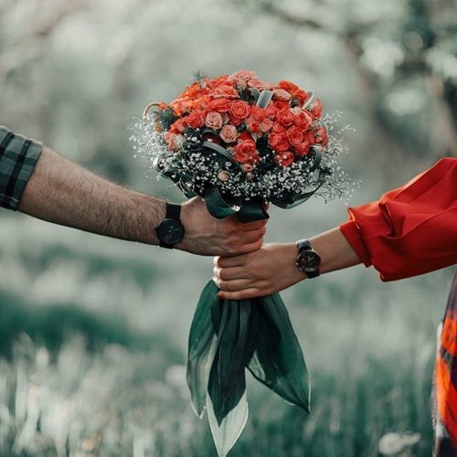 کاور عکس آهنگ نمیچینم گلی که خار داره دلبر